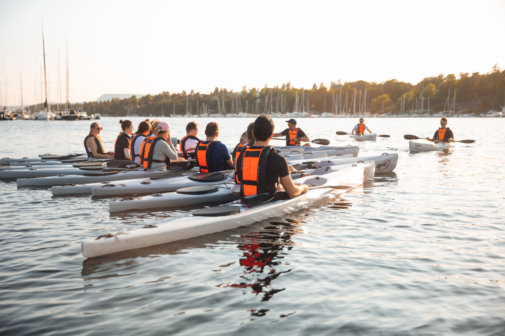 OUR ACTIVITIES – Bull Aktiv