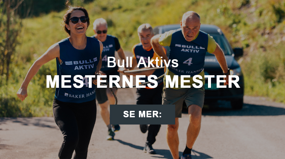 Mesternes Mester with Bull Aktiv